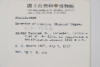 阿里山蹄蓋蕨藏品圖，第2張