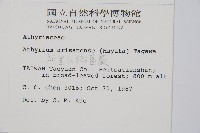 阿里山蹄蓋蕨藏品圖，第2張