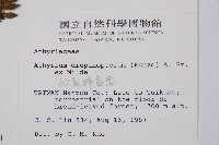 細裂蹄蓋蕨藏品圖，第2張