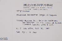 小葉蹄蓋蕨藏品圖，第2張