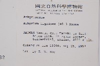 蓬萊蹄蓋蕨藏品圖，第5張