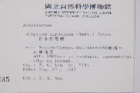 日本蹄蓋蕨藏品圖，第5張