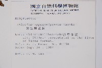 山蹄蓋蕨藏品圖，第2張