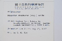 倉田氏蹄蓋蕨藏品圖，第2張