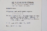 逆葉蹄蓋蕨、逆羽蹄蓋蕨藏品圖，第2張