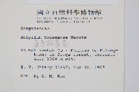 蓬萊蹄蓋蕨藏品圖，第2張