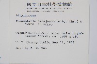 大葉貞蕨藏品圖，第2張