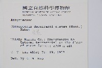 貞蕨藏品圖，第2張