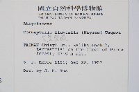大葉貞蕨藏品圖，第2張