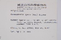 黑葉貞蕨藏品圖，第2張