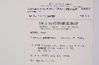 毛軸假蹄蓋蕨藏品圖，第2張