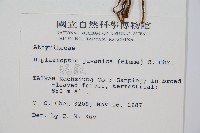 腸蕨藏品圖，第2張