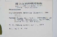 腸蕨藏品圖，第2張