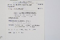 毛柄短腸蕨藏品圖，第2張