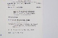 毛柄短腸蕨藏品圖，第2張