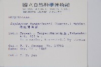 德氏雙蓋蕨藏品圖，第2張