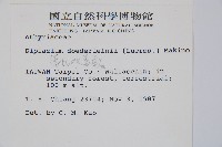 德氏雙蓋蕨藏品圖，第2張
