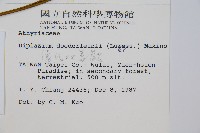 德氏雙蓋蕨藏品圖，第2張