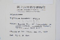 川上氏雙蓋蕨藏品圖，第2張