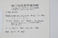 深山雙蓋蕨藏品圖，第2張