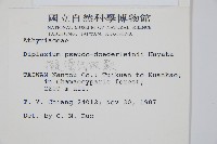 擬德氏雙蓋蕨藏品圖，第2張