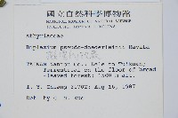 擬德氏雙蓋蕨藏品圖，第2張