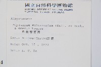 單葉雙蓋蕨藏品圖，第2張