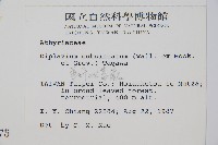 單葉雙蓋蕨藏品圖，第2張