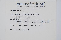 刺柄雙蓋蕨藏品圖，第2張