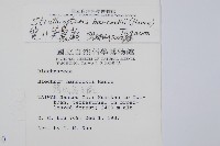 韓氏羅曼蕨藏品圖，第2張