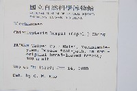 裂羽崇澍蕨藏品圖，第2張