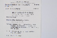 崇澍蕨藏品圖，第2張