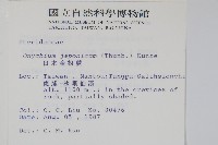 日本金粉蕨藏品圖，第2張