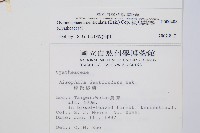 韓氏黑桫欏藏品圖，第2張