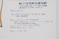 海州骨碎補藏品圖，第2張