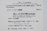 杯狀蓋陰石蕨藏品圖，第5張