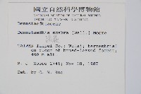 碗蕨藏品圖，第2張