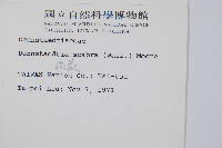 碗蕨藏品圖，第2張