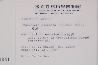 姬蕨藏品圖，第2張