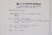 姬蕨藏品圖，第2張