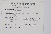 栗蕨藏品圖，第2張