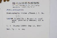 栗蕨藏品圖，第2張