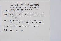 栗蕨藏品圖，第2張