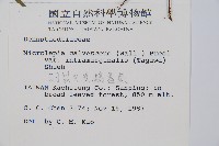 羽葉鱗蓋蕨藏品圖，第5張