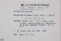 虎克氏鱗蓋蕨藏品圖，第2張