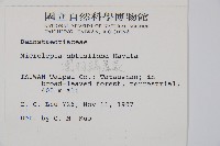 團羽鱗蓋蕨藏品圖，第2張