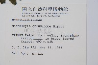 團羽鱗蓋蕨藏品圖，第2張