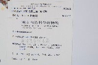 臺灣金狗毛蕨藏品圖，第2張