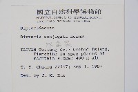 雙扇蕨藏品圖，第2張