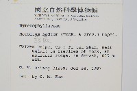 蕗蕨藏品圖，第2張